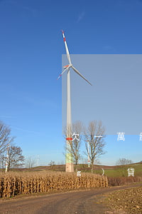 欠一萬網(wǎng)貸坦白(欠網(wǎng)貸要不要坦白)