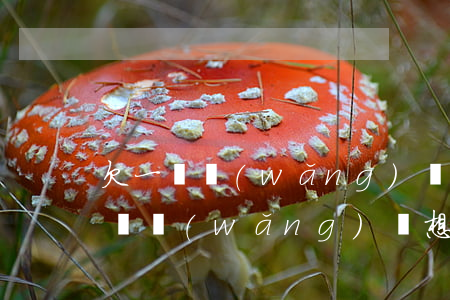 欠一萬網(wǎng)貸想跟家里坦白(欠一萬網(wǎng)貸想跟家里坦白)