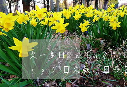 欠一身網(wǎng)貸怎么起訴(網(wǎng)貸欠款1萬多會被起訴嗎)