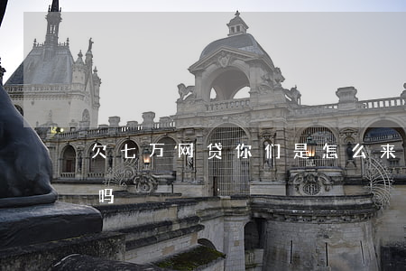欠七万网贷你们是怎么来的(网贷欠7万算多吗)