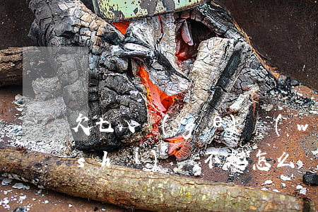 欠七八個(gè)網(wǎng)貸暫時(shí)還不起怎么辦-欠七八個(gè)網(wǎng)貸暫時(shí)還不起怎么辦呢
