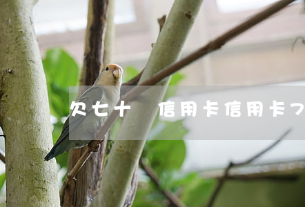 欠七十萬信用卡(信用卡70萬無力償還)