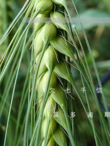欠七千信用卡逾期還不上怎么辦(欠信用卡兩萬多逾期還不上怎么辦)