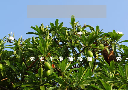 欠七千多值得起訴嗎(欠一萬七可以起訴嗎)
