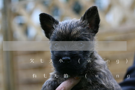 欠七天小網(wǎng)貸(有沒(méi)有七天的網(wǎng)貸)
