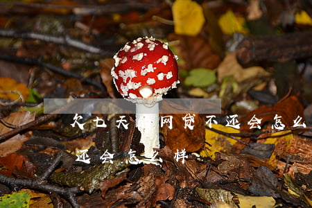 欠七天的网贷不还会怎么样(7天网贷逾期不还会怎么样)