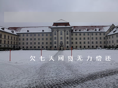 欠七天网贷无力偿还