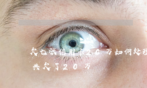 欠七张信用卡20万如何处理(7张信用卡一共欠了20万)