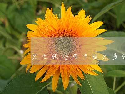欠七张信用卡被(欠多张信用卡无力偿还)