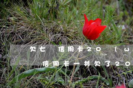 欠七張信用卡20萬(wàn)如何處理(7張信用卡一共欠了20萬(wàn))