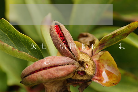 欠七萬信用卡不還會怎樣(欠七萬信用卡不還會怎樣)