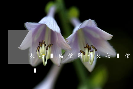 欠七萬的信用卡(欠七萬信用卡還不起了怎么辦)