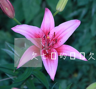 欠七萬的網貸(欠七萬的網貸)