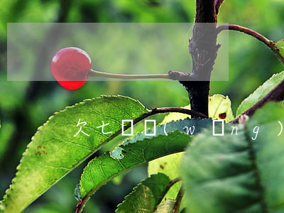 欠七萬網(wǎng)貸你們是怎么還的