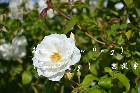欠七萬網(wǎng)貸要坐牢嗎(欠七萬網(wǎng)貸要坐牢嗎)