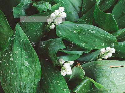 欠七萬網(wǎng)貸跟家里坦白會怎么樣-
