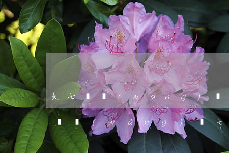 欠七萬網(wǎng)貸跟家里坦白會怎么樣(網(wǎng)貸七八萬怎么和家人坦白)