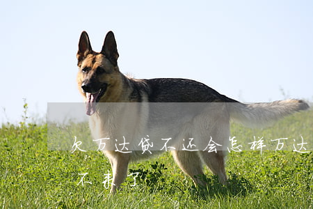 欠万达贷不还会怎样(万达贷是不是还了就出不来了)