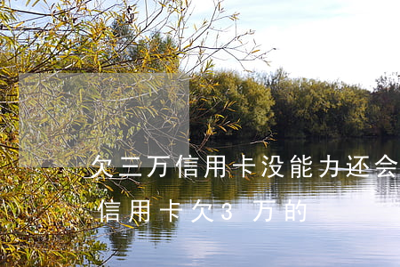 欠三万信用卡,没能力还会有什么后果（有没有信用卡欠3万的）
