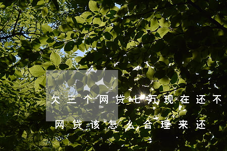 欠三个网贷七万现在还不了怎么办(欠了七万网贷该怎么合理来还)