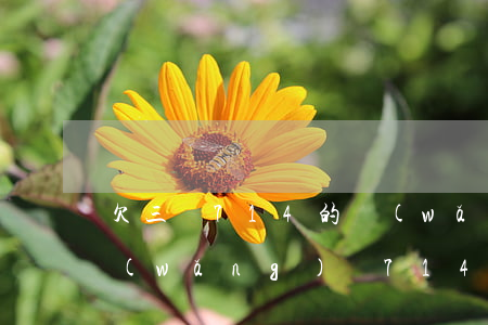 欠三個714的網(wǎng)貸怎么辦(網(wǎng)貸714口子)
