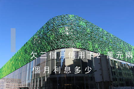 欠三個月信用卡2萬元(兩萬的信用卡逾期三個月利息多少?)