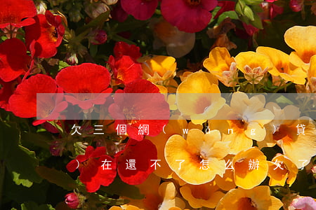 欠三個網(wǎng)貸七萬現(xiàn)在還不了怎么辦(欠了七萬網(wǎng)貸該怎么合理來還)