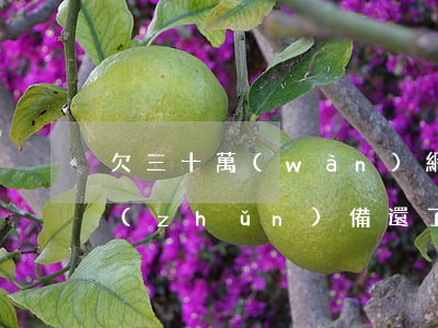 欠三十萬(wàn)網(wǎng)貸不準(zhǔn)備還了還不起-欠三十萬(wàn)網(wǎng)貸不準(zhǔn)備還了還不起怎么辦