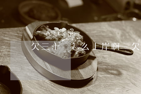 欠三十萬怎么上岸啊-欠三十萬怎么上岸啊