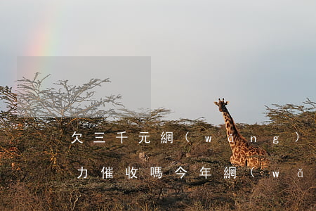 欠三千元網(wǎng)貸會(huì)暴力催收嗎(今年網(wǎng)貸還敢暴力催收嗎)