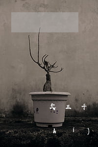 欠三千多網(wǎng)貸會被法院執(zhí)行嗎(欠網(wǎng)貸1千多會不會上法院)