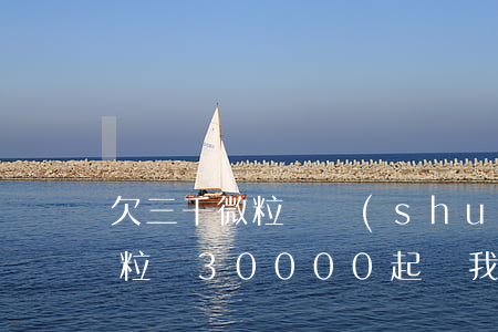 欠三千微粒貸說(shuō)要起訴(我欠微粒貸30000起訴我)