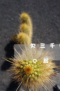 欠三千微粒貸說要起訴(我欠微粒貸30000起訴我)
