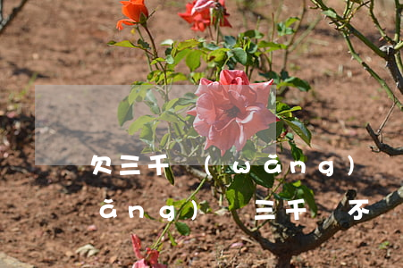 欠三千網(wǎng)貸會被起訴嗎(網(wǎng)貸三千會不會被起訴)