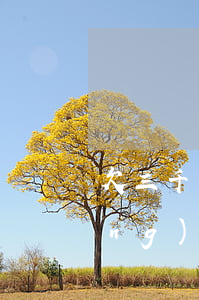 欠三千網(wǎng)貸會起訴嗎(網(wǎng)貸欠三千多會不會被起訴)