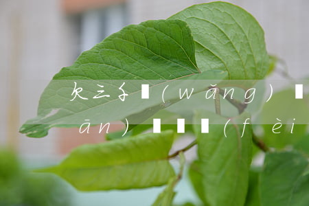 欠三千網(wǎng)貸被起訴要承擔(dān)敗訴費(fèi)用-欠三千網(wǎng)貸被起訴要承擔(dān)敗訴費(fèi)用嗎