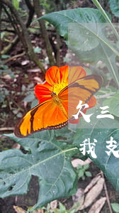 欠三千網(wǎng)貸說凍結(jié)我支付寶(網(wǎng)貸竟然把我支付寶凍結(jié)了)