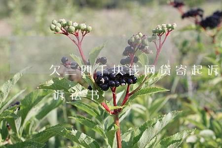 欠三四千块钱网贷 寄起诉书(网贷给我快递了诉讼书)