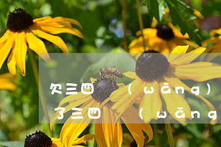 欠三四萬網(wǎng)貸想進廠怎么辦(欠了三四萬網(wǎng)貸怎么辦)