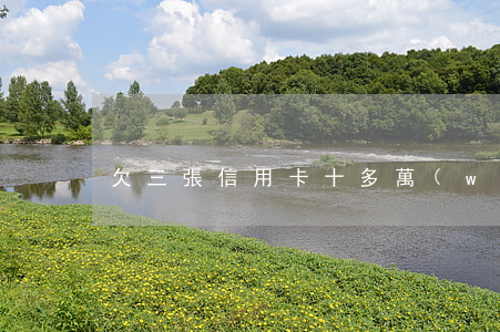 欠三張信用卡十多萬(wàn)