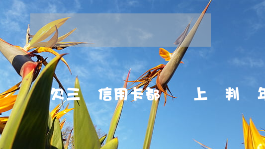 欠三張信用卡都沒還上會判幾年-