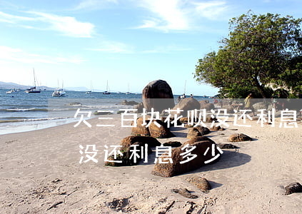 欠三百块花呗没还利息怎么算(花呗八百块钱没还利息多少)