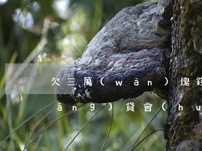 欠三萬(wàn)塊錢(qián)網(wǎng)貸會(huì)坐牢嗎(欠網(wǎng)貸三萬(wàn)會(huì)不會(huì)坐牢)