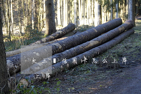 欠三萬信用卡怎么上岸-欠三萬信用卡怎么上岸