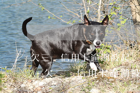 欠三萬信用卡逾期被起訴的結(jié)果-欠三萬信用卡逾期被起訴的結(jié)果是什么