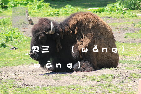 欠三萬網(wǎng)貸多嗎(欠了3萬網(wǎng)貸)