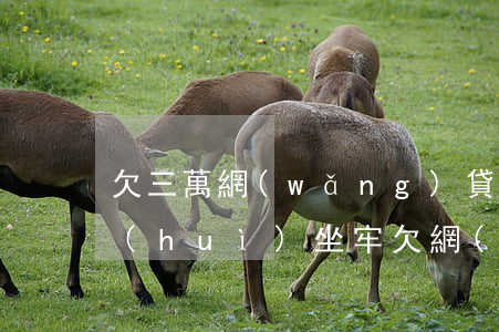 欠三萬網(wǎng)貸會(huì)不會(huì)坐牢(欠網(wǎng)貸三十萬還不起會(huì)坐牢嗎)