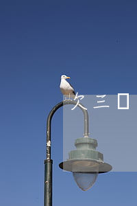 欠三萬網貸想(欠了網貸兩三萬)