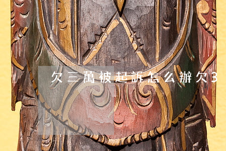 欠三萬被起訴怎么辦(欠3萬被起訴)