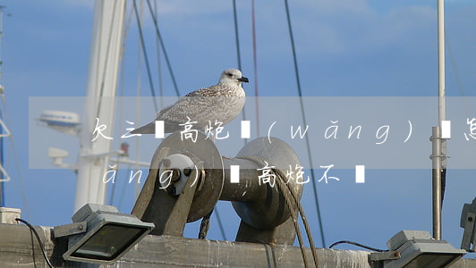 欠三萬高炮網(wǎng)貸怎么辦(網(wǎng)貸高炮不還)